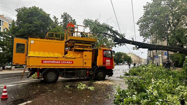 Опубликованы кадры урагана в Санкт-Петербурге